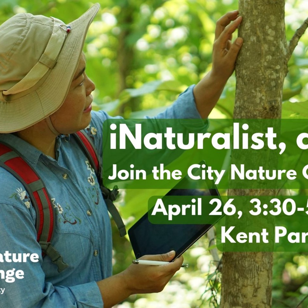 iNaturalist, do you?  City Nature Challenge Training Workshop promotional image